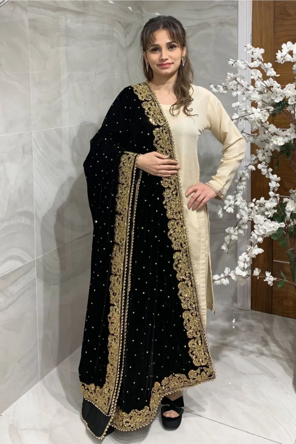 Luxury embroidered velvet shawl - Black, FREE SIZE