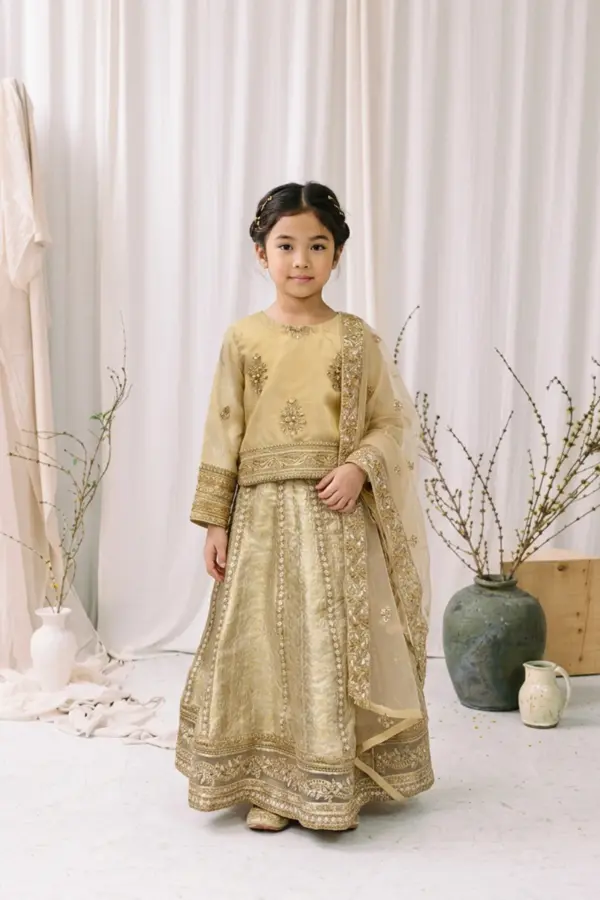 Afiya kids collection 3 piece embroidered lengha choli - Gold, 24