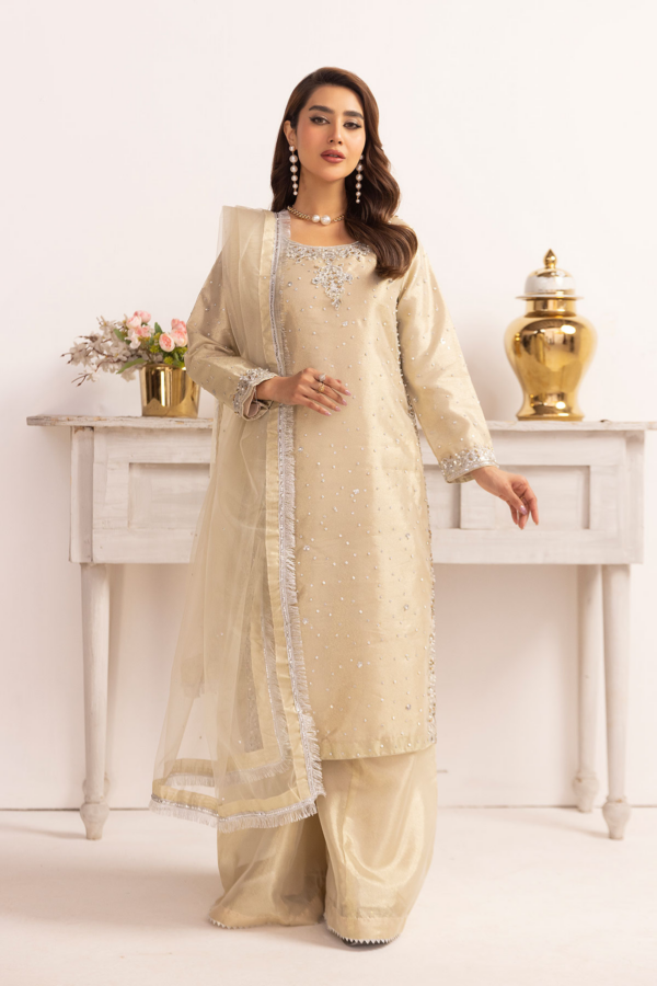 Emre collection 3 piece raw silk embroidered suit