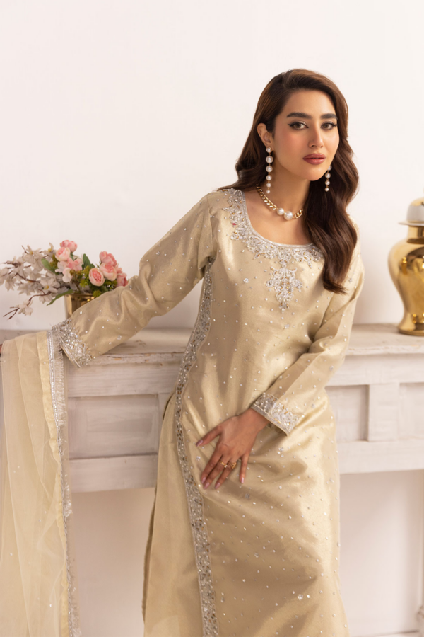 Emre collection 3 piece raw silk embroidered suit - Image 5