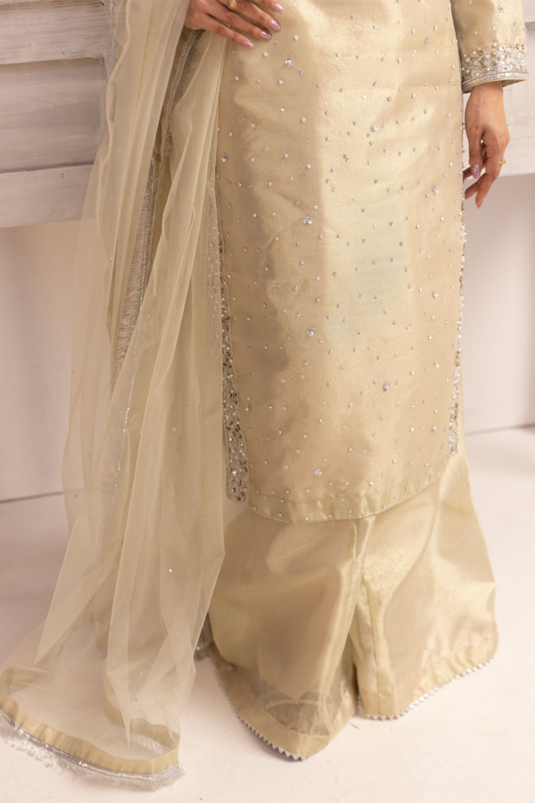 Emre collection 3 piece raw silk embroidered suit - Image 7