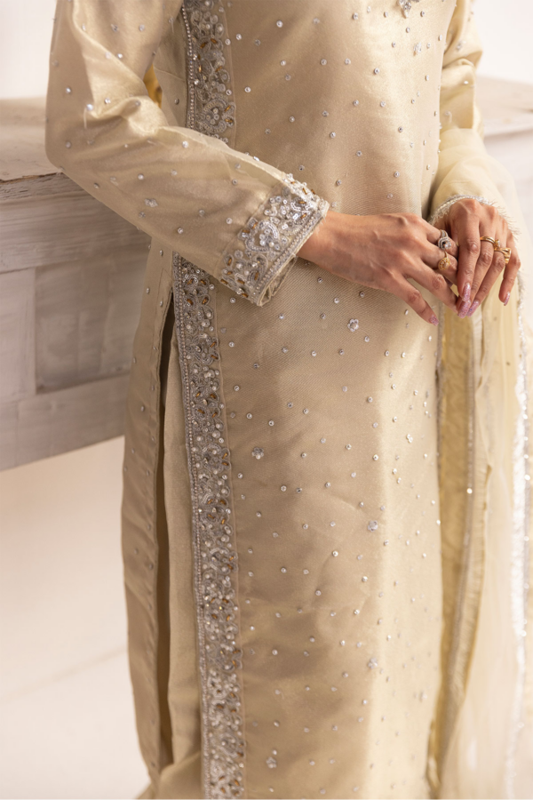 Emre collection 3 piece raw silk embroidered suit - Image 6