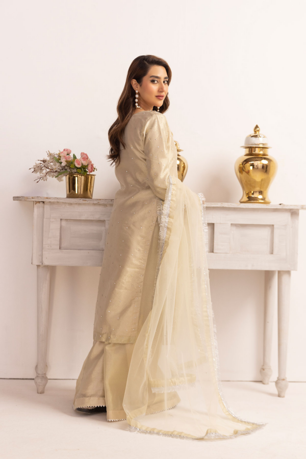 Emre collection 3 piece raw silk embroidered suit - Image 3