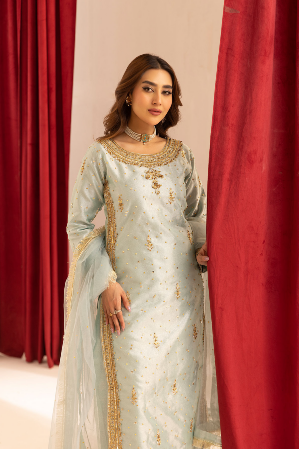 Emre collection 3 piece embroidered raw silk suit - Image 5