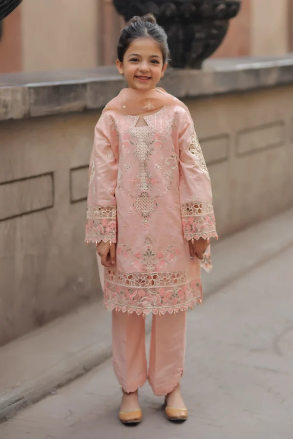 Bazar Kahani Eid 2025 3 piece delicate daughter’s suit - Image 2