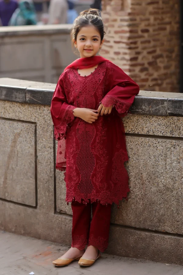 Bazar Kahani Eid 2025 3 piece timeless daughter's suit - Image 2