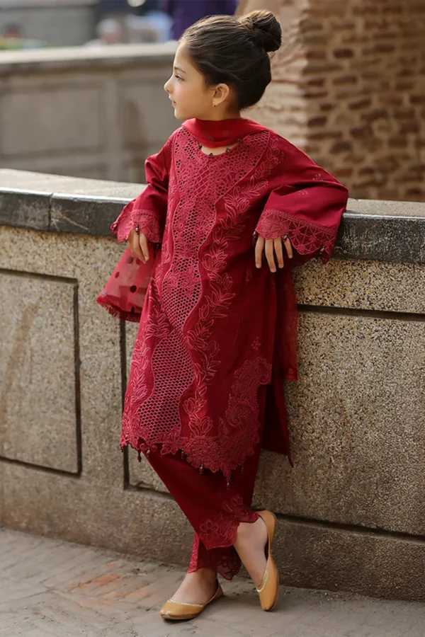 Bazar Kahani Eid 2025 3 piece timeless daughter's suit - Image 3