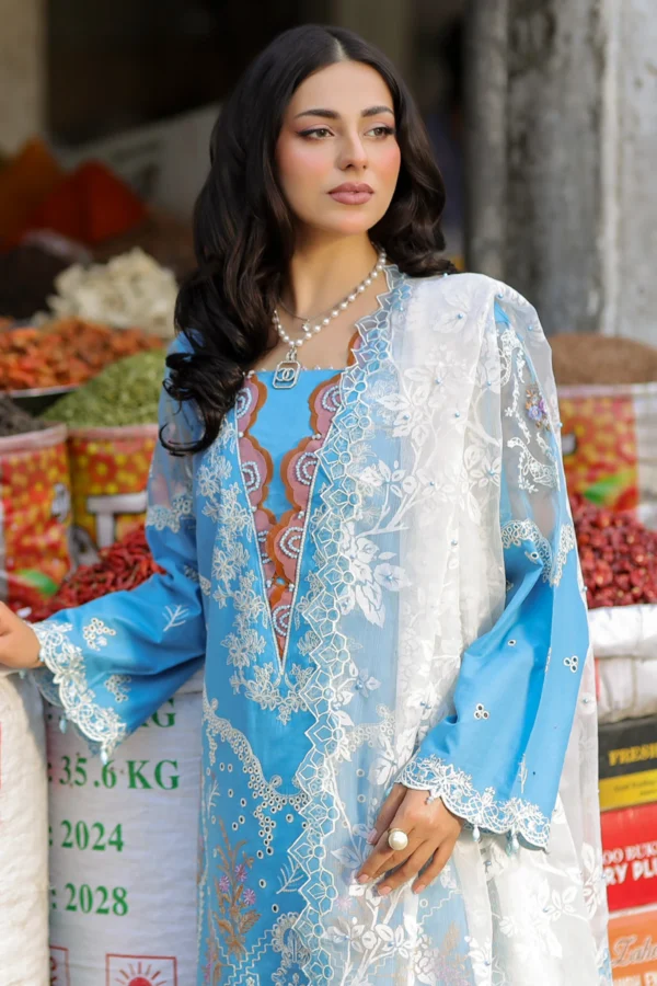 Bazar Kahani Eid 2025 3 piece graceful mother's suit - Image 4