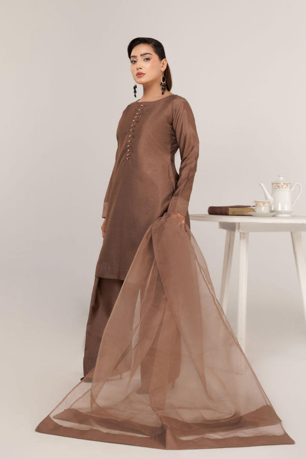 Shiffonz 3 piece farshi shalwar Eid collection - Image 2