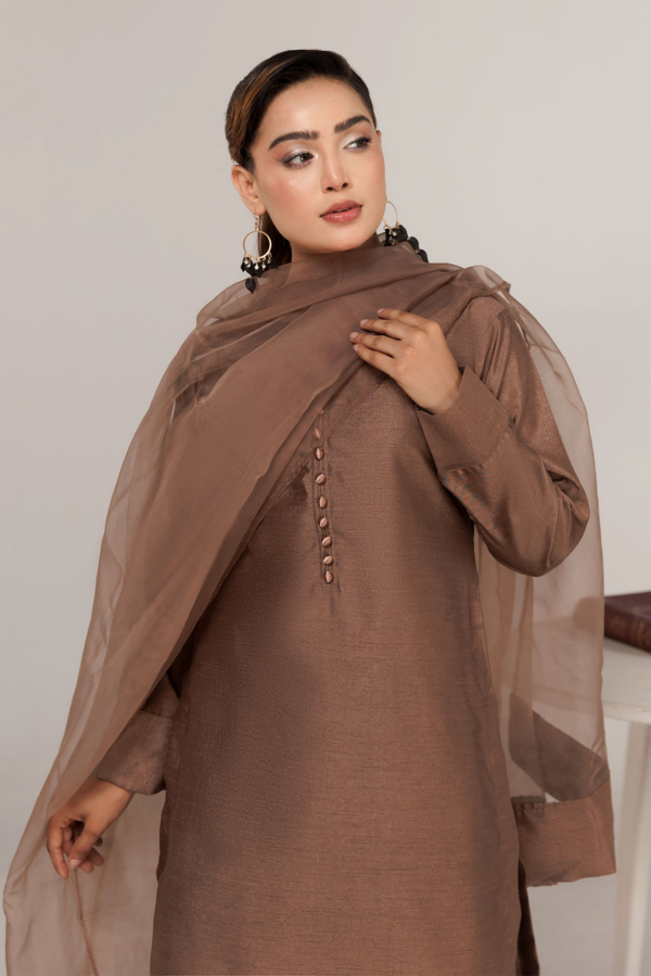 Shiffonz 3 piece farshi shalwar Eid collection - Image 5