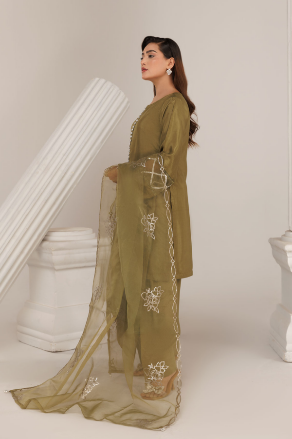 Shiffonz 3 piece farshi shalwar Eid outfit - Image 2