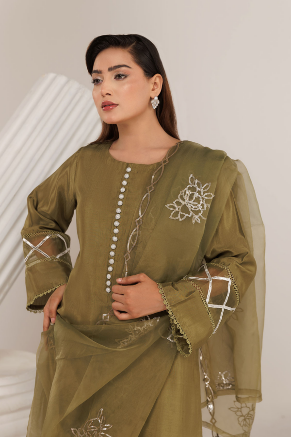 Shiffonz 3 piece farshi shalwar Eid outfit - Image 3