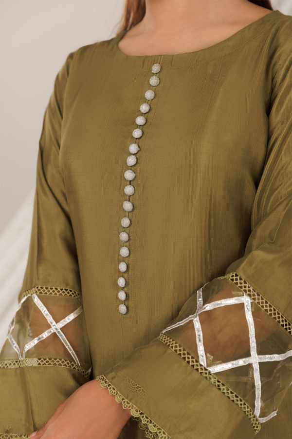 Shiffonz 3 piece farshi shalwar Eid outfit - Image 4