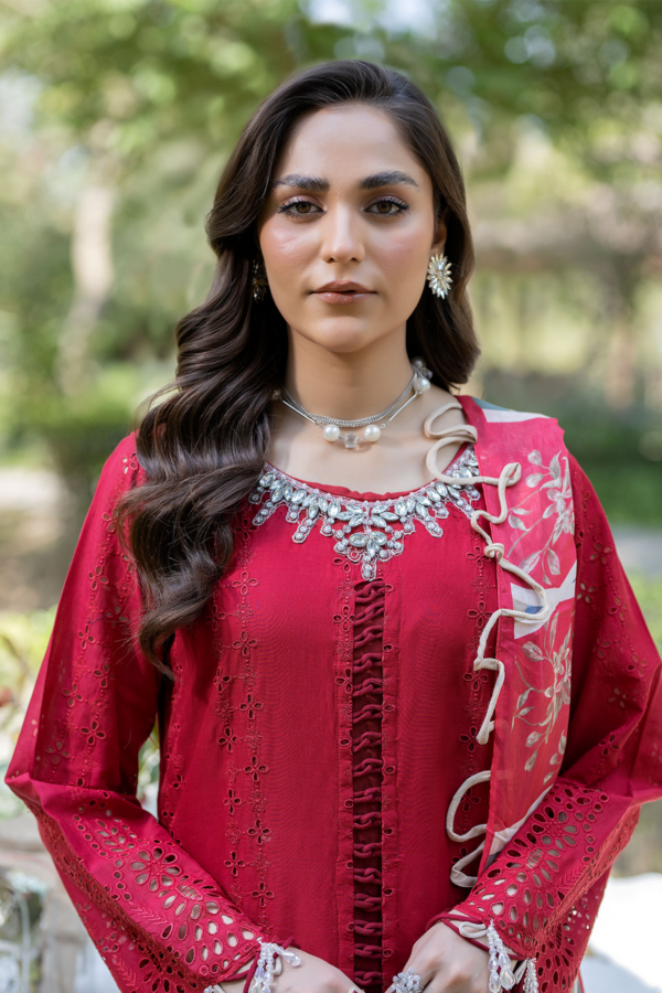 Ivana 3 piece luxe embroidered chikan kari suit - Image 3