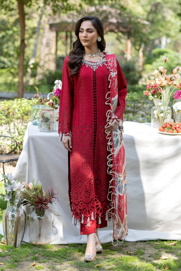 Ivana 3 piece luxe embroidered chikan kari suit