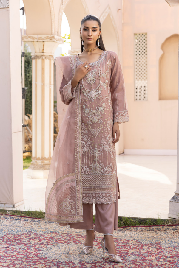 Kiara luxe collection 3 piece organza Eid suit