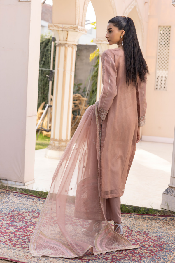 Kiara luxe collection 3 piece organza Eid suit - Image 3