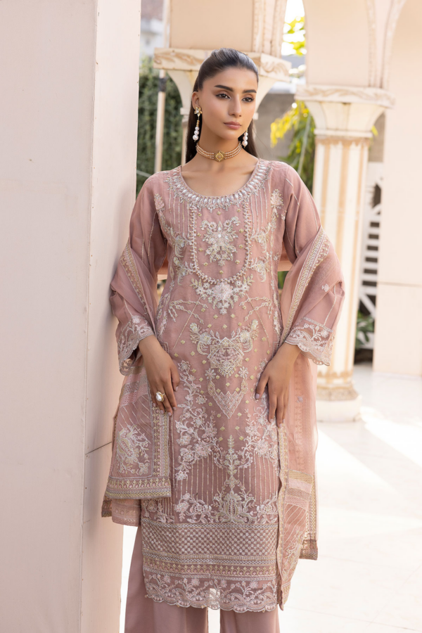 Kiara luxe collection 3 piece organza Eid suit - Image 4