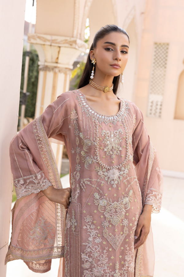 Kiara luxe collection 3 piece organza Eid suit - Image 5