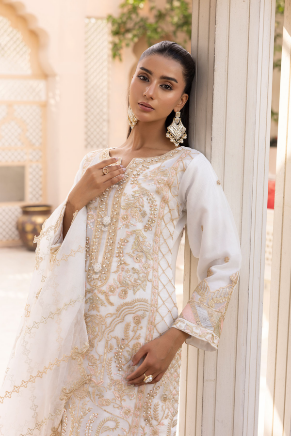 Kiara luxe Eid collection 3 piece organza suit - Image 5