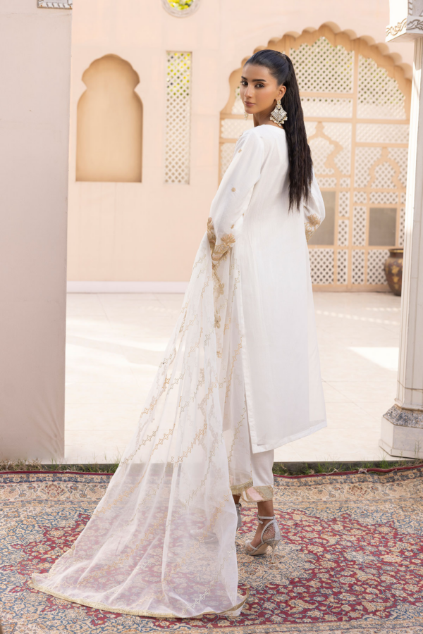 Kiara luxe Eid collection 3 piece organza suit - Image 2