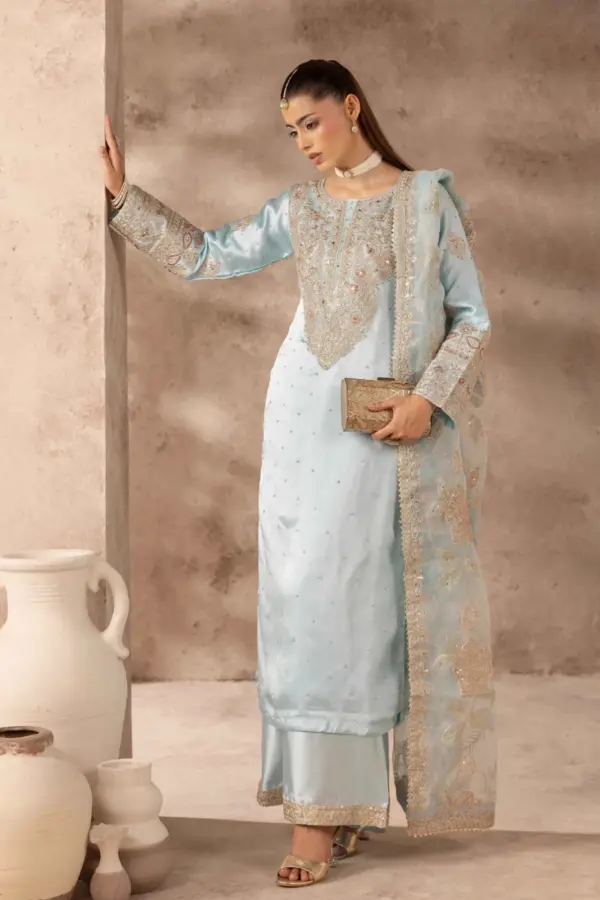 Ruby collection 3 piece embroidered plazo suit - SBLUE, X - Large
