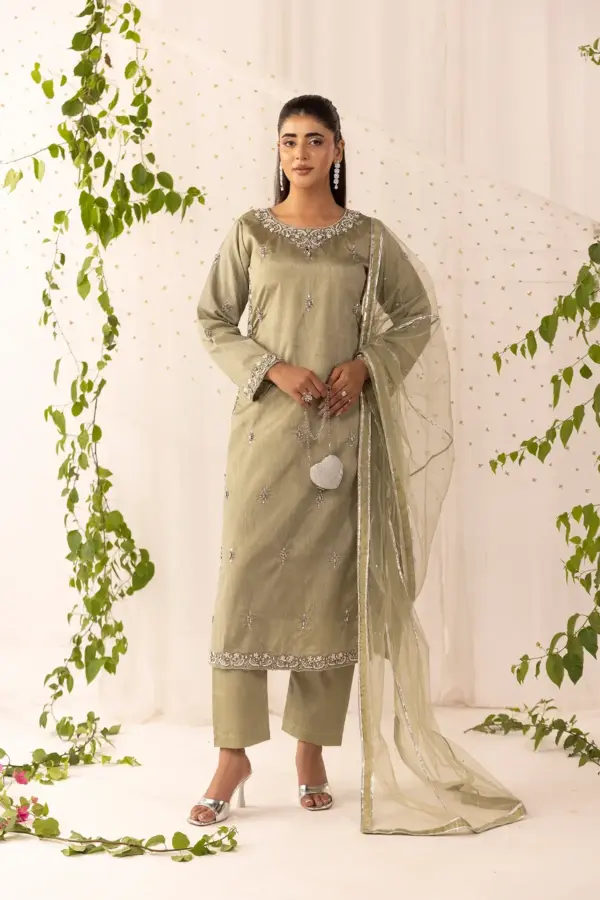 Shiffonz 3 piece raw silk embroidered collection - Mint, X - Large