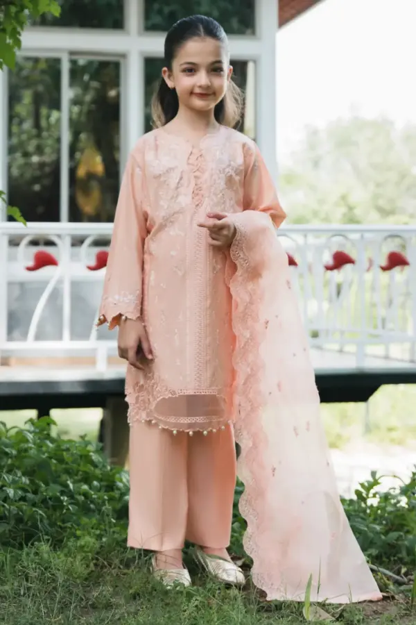 Lily luxe embroidered mother and daughter kids suit