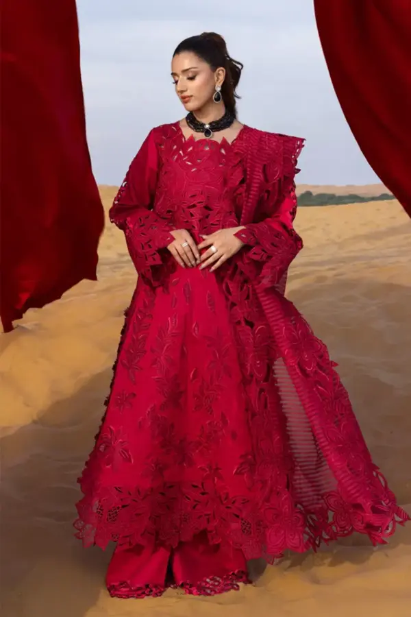Shiffonz Rangrasiya collection embroidered suit