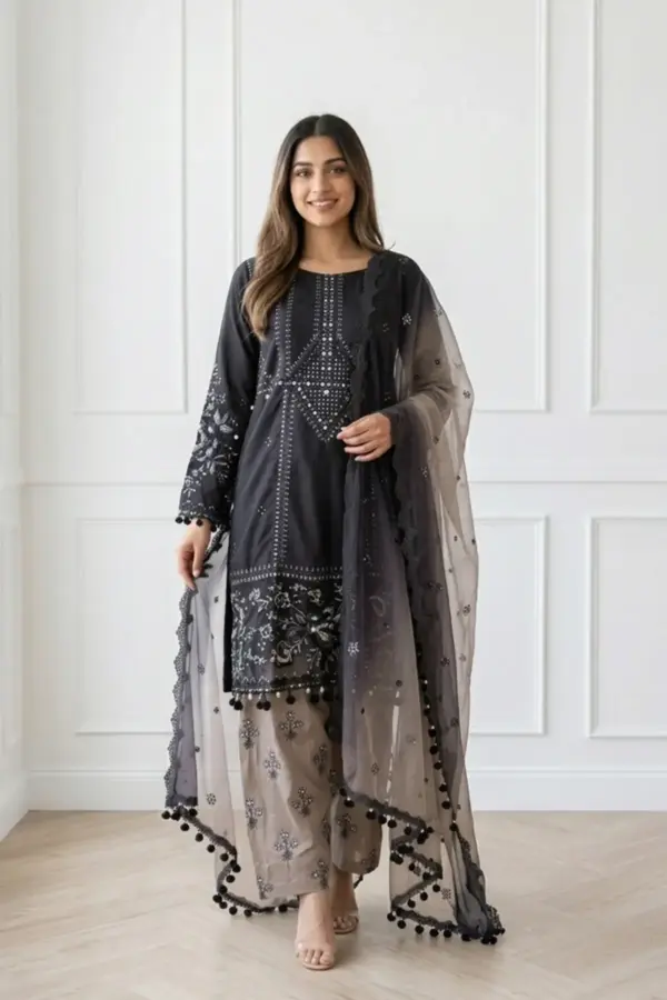 Amani Eid premium collection embroidered shalwar suit - Black, X - Large